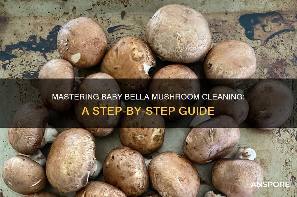 how to properly clean baby bella mushrooms