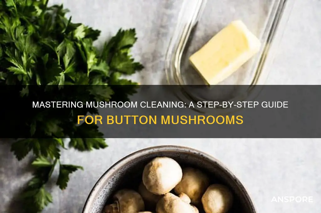 how to properly clean button mushrooms