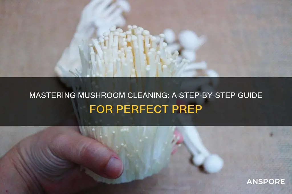 how to properly clean mushrooms before cooking