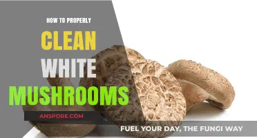 Mastering the Art of Cleaning White Mushrooms: A Step-by-Step Guide