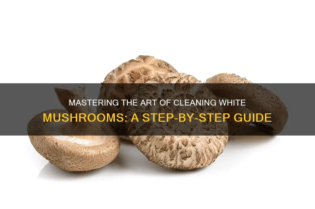 how to properly clean white mushrooms