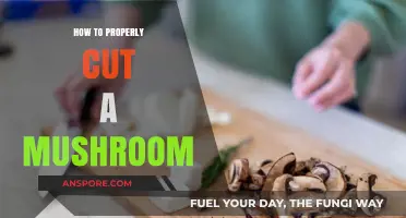 Mastering Mushroom Cutting: Techniques for Perfect Slices Every Time