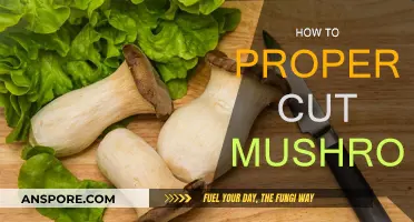 The Art of Slicing Mushrooms: A Guide