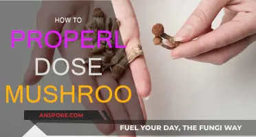 Strategic Mushroom Dosing: A Guide to Safe Exploration