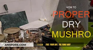 Drying Mushrooms: The Right Way to Do It