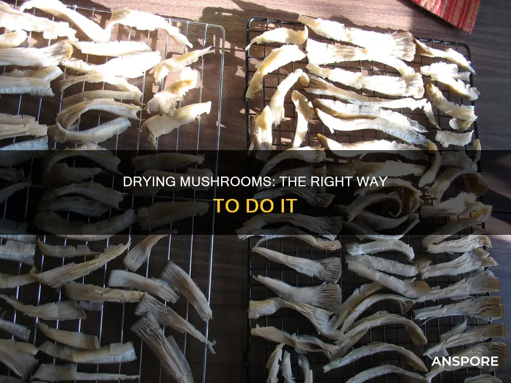 how to properly dry mushrooms