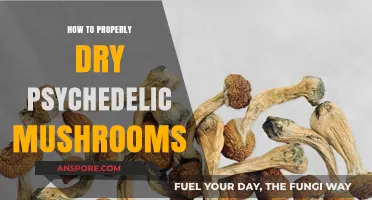 Mastering the Art of Drying Psychedelic Mushrooms: A Step-by-Step Guide