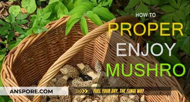 Mushroom Magic: Enhancing Your Culinary Experience