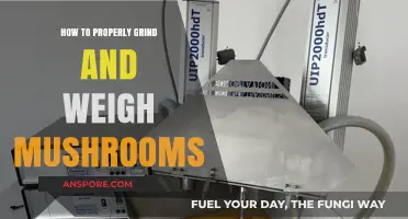 Mastering Mushroom Preparation: Grinding and Weighing Techniques for Perfect Results