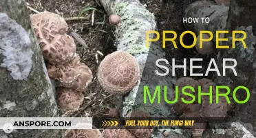 The Art of Shearing Mushrooms: A Step-by-Step Guide