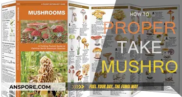 The Ultimate Guide to Consuming Magic Mushrooms