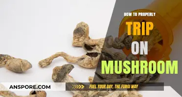 Mastering the Art of Safe and Meaningful Mushroom Trips