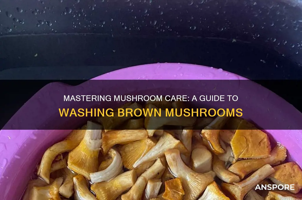 how to properly wash brown mushrooms