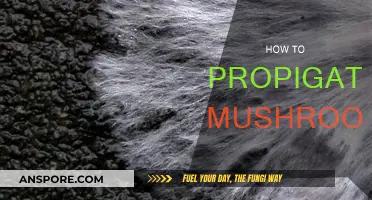 Grow Your Own: Mushroom Propagation Made Easy