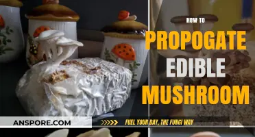 Mastering Mushroom Propagation: Grow Your Own Edible Fungi at Home
