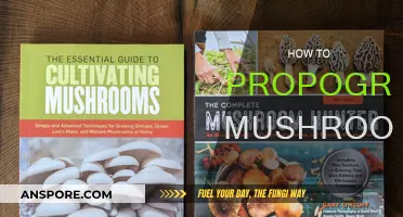 Mushroom Propagation: Easy Steps to Grow Your Own Mushrooms