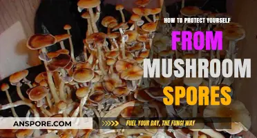 Shielding Yourself from Mushroom Spores: Essential Safety Tips and Strategies