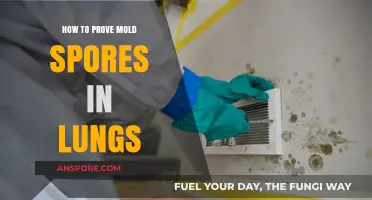 Detecting Mold Spores in Lungs: Proven Methods and Testing Techniques