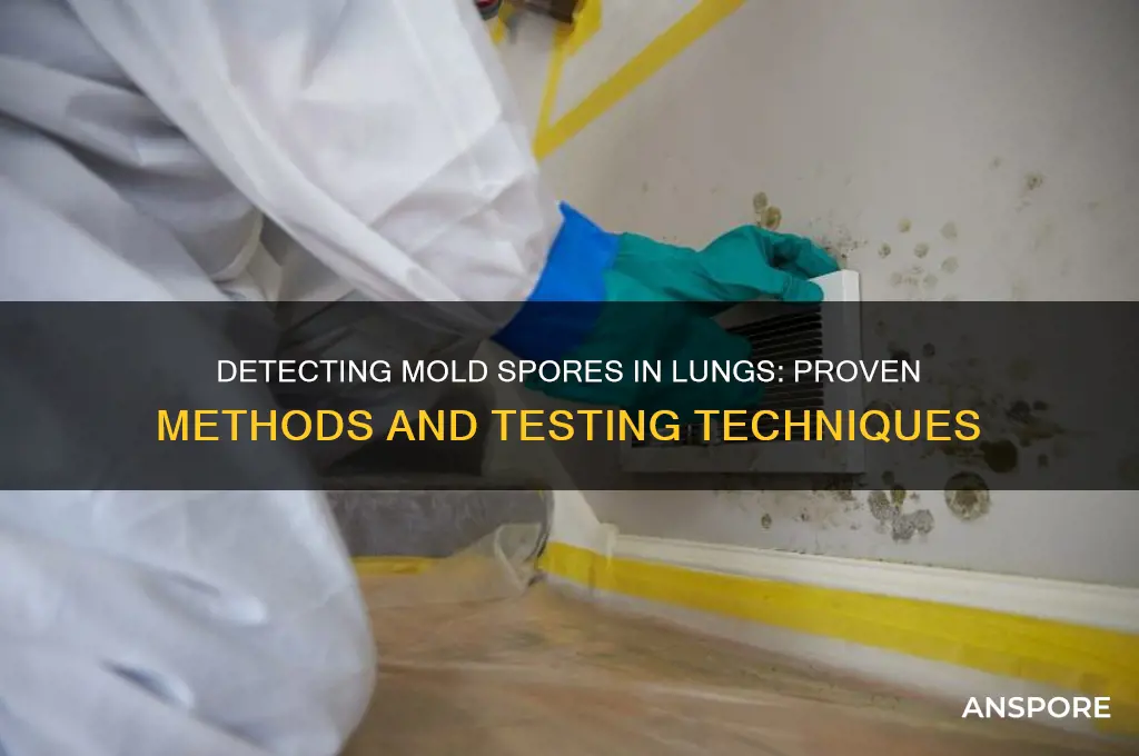 how to prove mold spores in lungs
