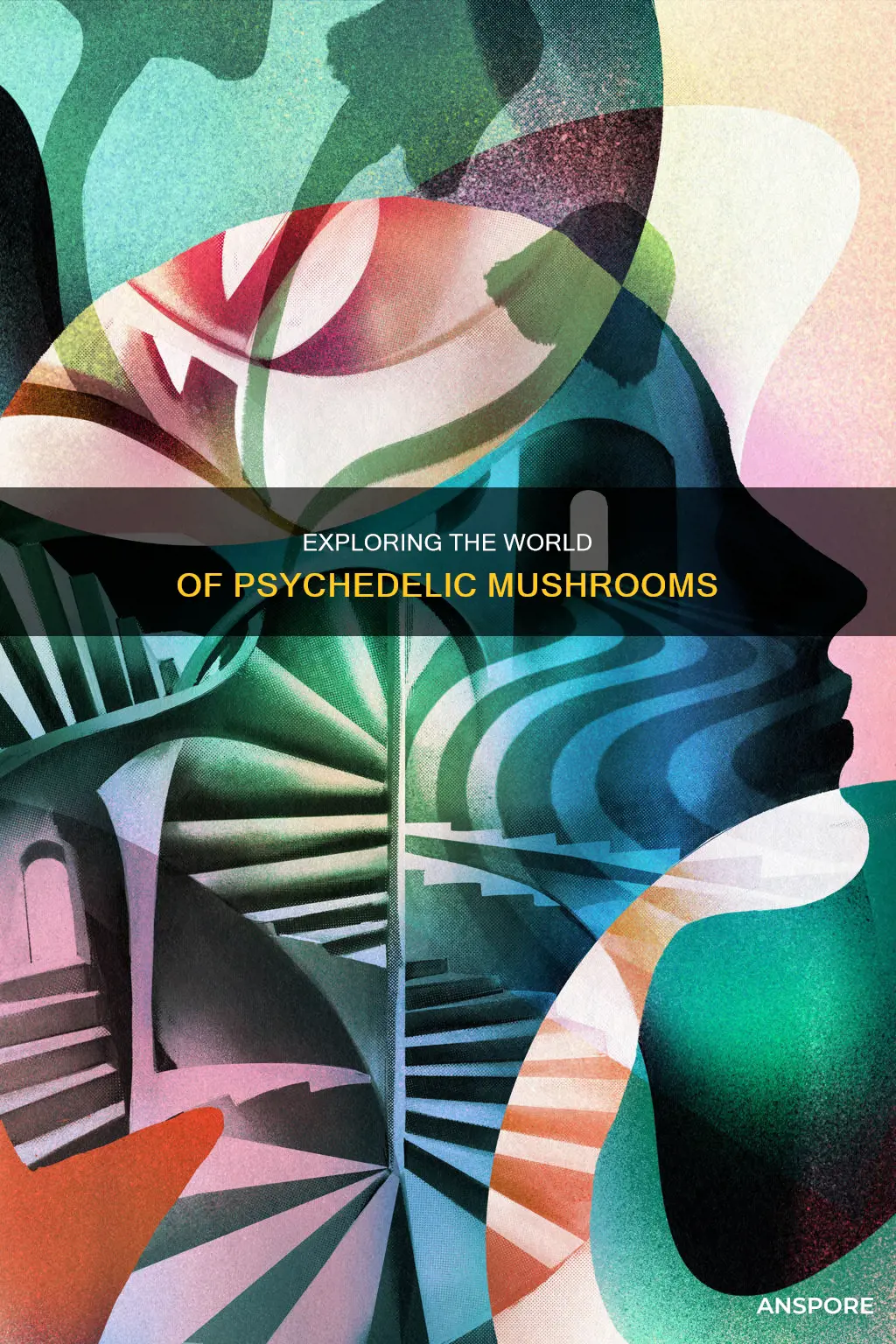 how to psychodelic mushrooms