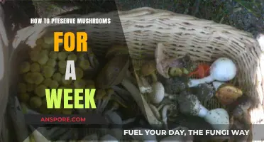 Quick Tips for Keeping Mushrooms Fresh for a Week