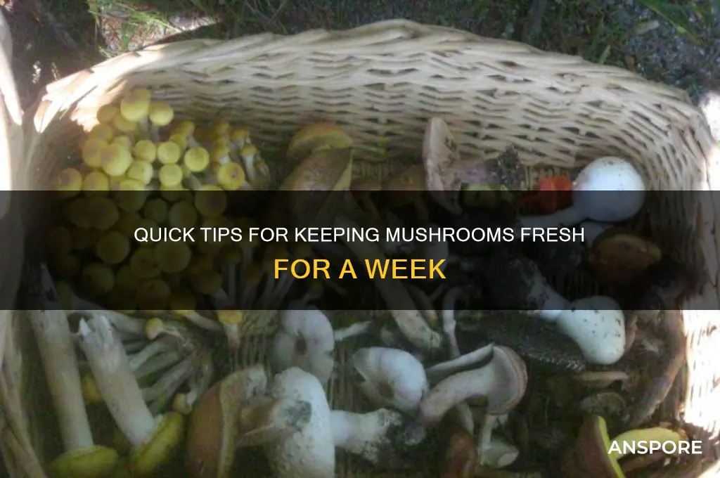 how to pteserve mushrooms for a week