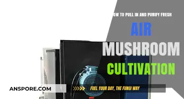 Fresh Air for Fungi: Purifying Air in Mushroom Cultivation