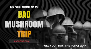 Guiding Through Darkness: Helping Someone Navigate a Bad Mushroom Trip