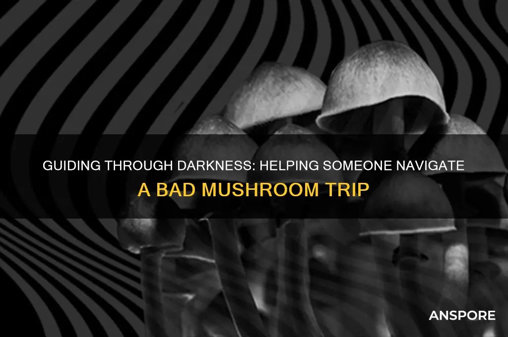 how to pull someone out of a bad mushroom trip