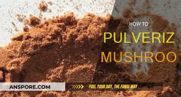 Pulverizing Mushrooms: The Ultimate Guide to Powder Perfection