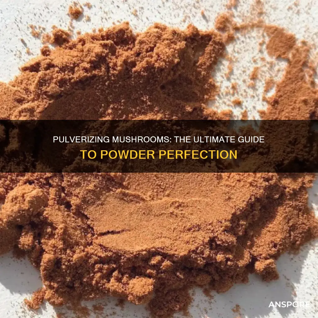 how to pulverize mushrooms