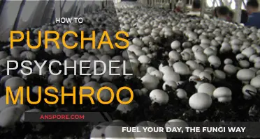 Buy Magic Mushrooms: A Step-by-Step Guide