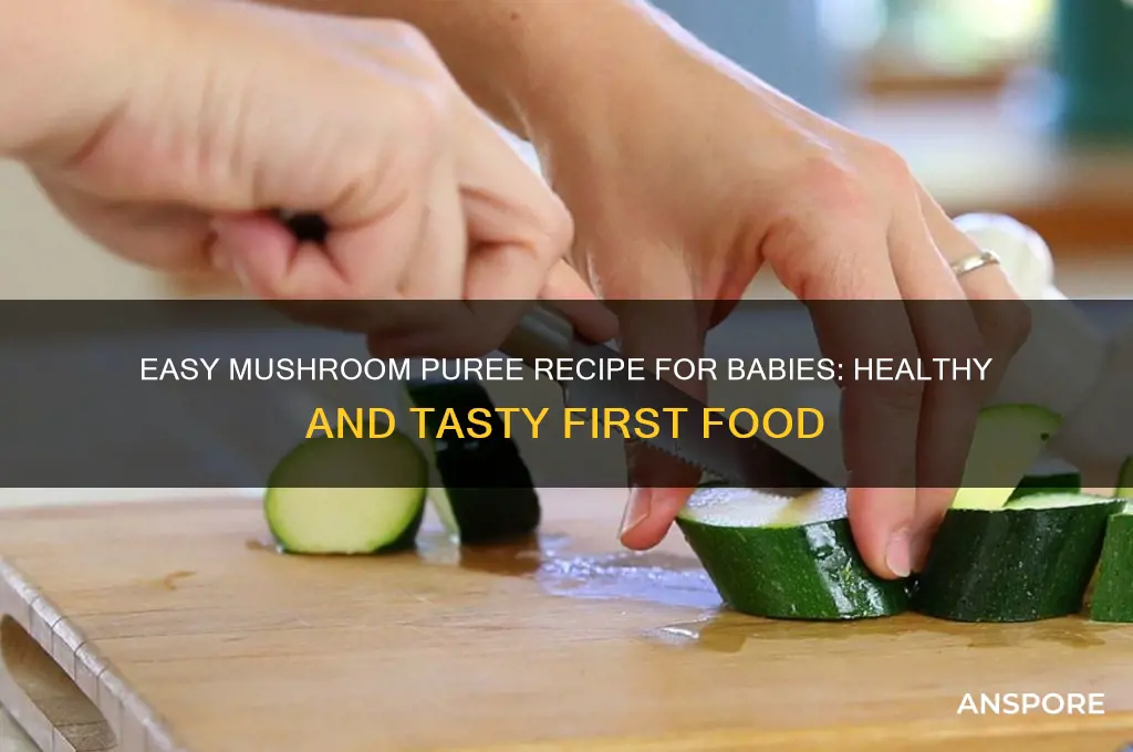 how to puree mushrooms for babies