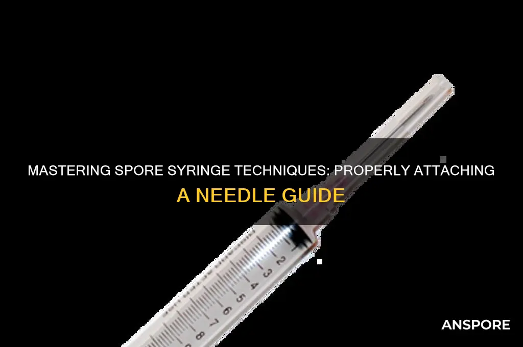 how to put a needle on a spore syringe