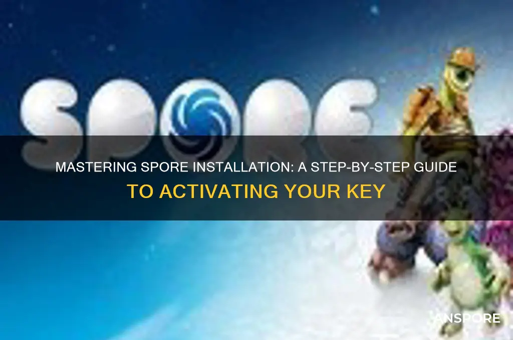 how to put in my spore key