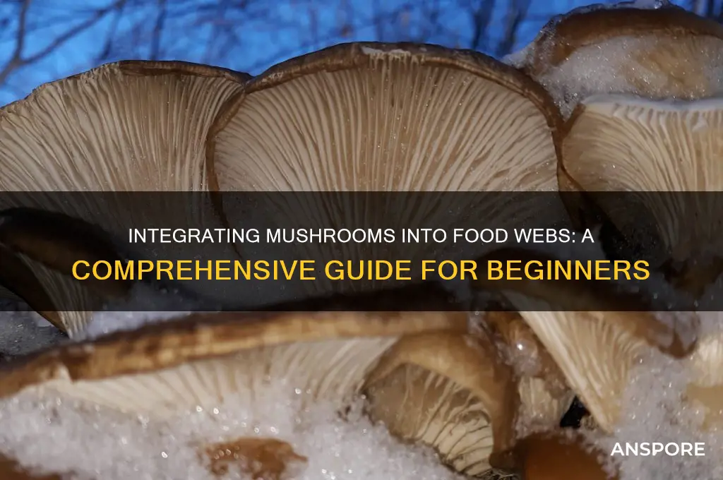 how to put mushroom in food web