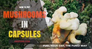 Easy Guide to Encapsulating Mushrooms for Convenient Consumption