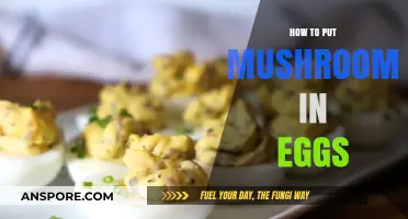 Delicious Mushroom-Stuffed Eggs: A Simple, Savory Breakfast Recipe