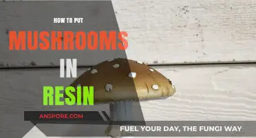 Preserving Nature's Beauty: A Guide to Embedding Mushrooms in Resin