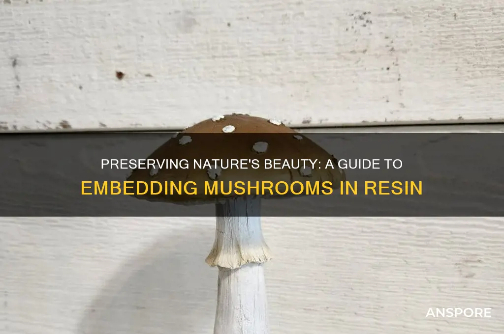 how to put mushrooms in resin
