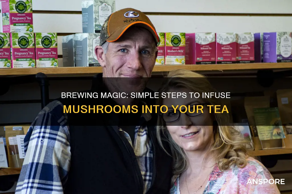 how to put mushrooms in tea