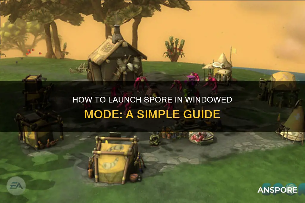 how to put spore in windowed mode