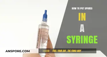 Mastering Syringe Inoculation: A Step-by-Step Guide to Loading Spores