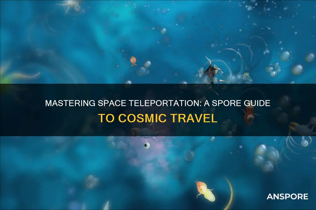 how to put the teleporter in space in spor