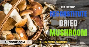 Revive Dried Mushrooms Fast: Simple Reconstitution Tips for Rich Flavor