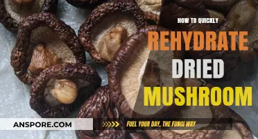 Revive Your Dried Mushrooms: Quick Rehydration Tips for Perfect Texture