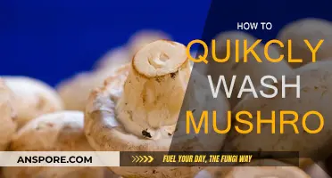 The Quickest Way to Wash Mushrooms
