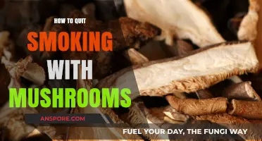 Mushrooms as a Natural Aid: How to Quit Smoking for Good