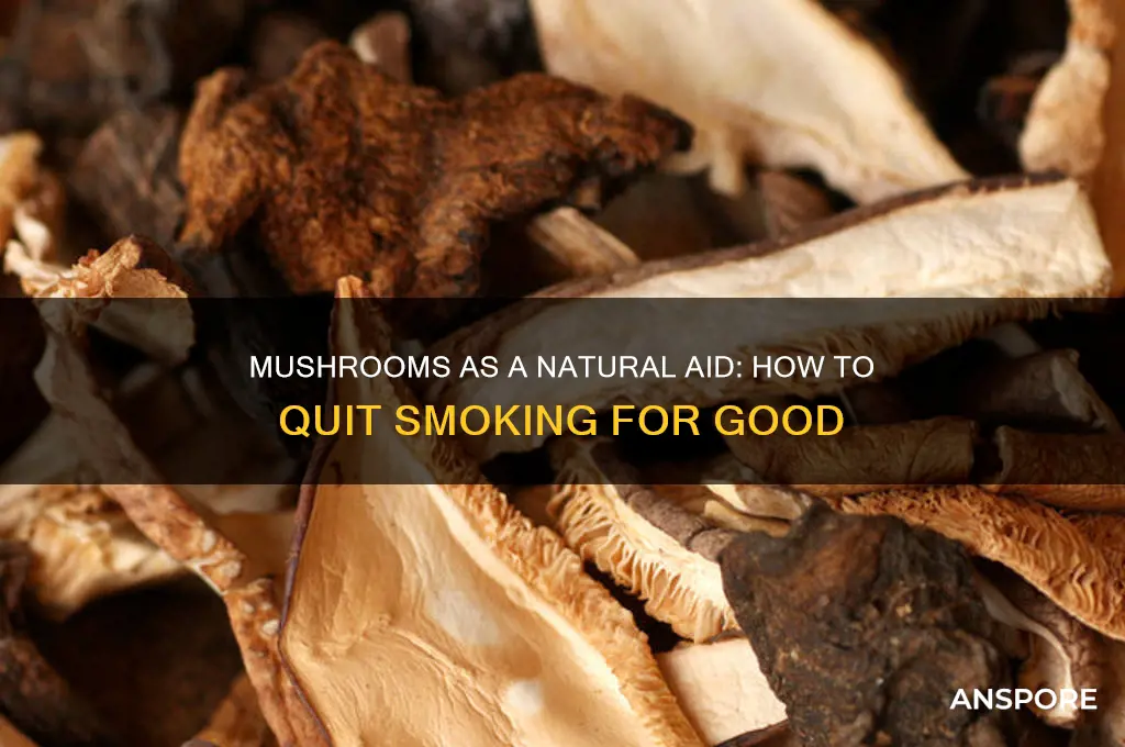 how to quit smoking with mushrooms