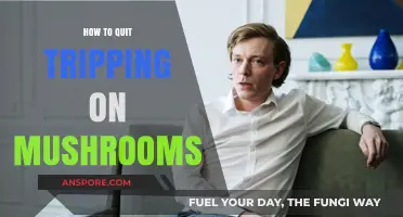 Overcoming Mushroom Trips: A Guide to Regaining Control and Clarity